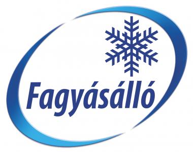 Avery fagyasztó címke 210 x 148 mm